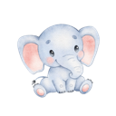 Daxiang Forever Free VPN, 象群永久免费机场