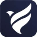 Feiniao , 翱翔的鸟类永久免费机场