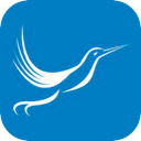 Fengniao Forever Free VPN, 蜂鸟应用永久免费机场